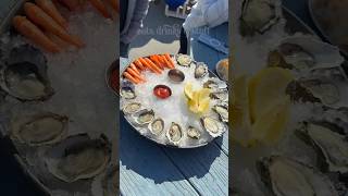 The Freshest Oysters & Geoduck! #shorts #shortsvideo #seafood