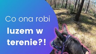 Jedziemy w teren z młodym koniem! / KOŃSKI VLOG POV