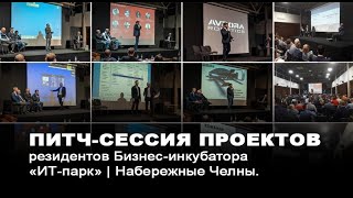 Онлайн питч-сессия проектов - резидентов Бизнес-инкубатора «ИТ-парк» | Набережные Челны.