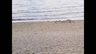 Down the Dunes, onto the Beach