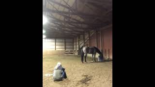 Horse thinks owner is sad and comforts her