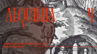 ALQUIMIA | Mutus liber: guía completa de la alquimia para principiantes. Láminas 8,9,10 y 11.