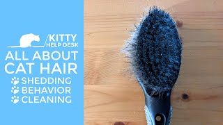 All About Cat Hair - Shedding - Behavior - Cleaning