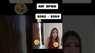 RIP SPIKE 2022 - 2024 #shortsviral #enaldinho #spike #rip