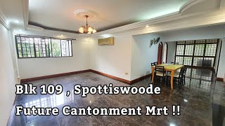 Blk 109 Spottiswoode Park , Large !! Future Cantonment Mrt !!