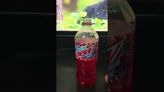 Mountain Dew Star Spangled Splash Review