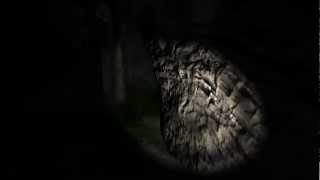 Let's Play Slender Episode 1 - [OH GOD!] - (Download Link Included)