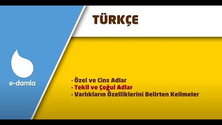 2. Sınıf Türkçe - 7. Ünite