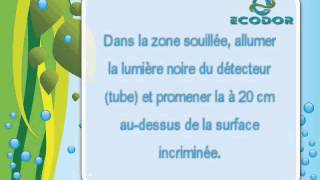 Ecodor - Détecteur de taches d'urine (FR)