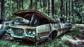 Ford Gran Torino 1972 old car forest vehicle