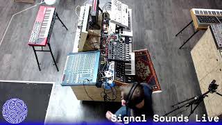 Signal Sounds Jamuary #2 "The power of the Torso"