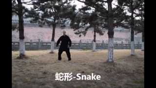 武当五形功 - wudang 5 Animals Qi Gong - 蛇 Snake / Schlange