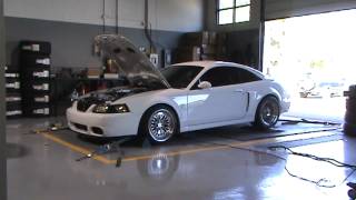 2004 Kenne-Bell 2.8L Equipped Cobra on the Dyno (779 RWHP)