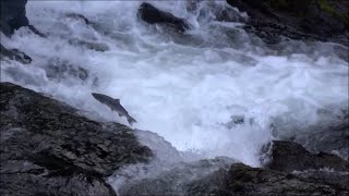 Russian River, Alaska - Huge Sockeyes and King Salmon