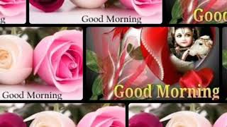 Good❤ morning ❤whatsapp💓 status New ❤video Beautiful Love🤗 Song 😍💕💕💕❤💓💓