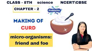 Making of Curd | micro-organisms friend and foe : | class 8 science chapter 2 CBSE/NCERT