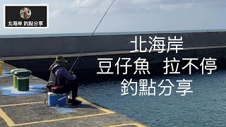 [北海岸釣點分享]  北海岸 豆仔魚 烏魚 大咬 拉不停  釣點分享  三芝石門金山 在地人的釣魚秘境！！ 記得 訂閱 才能收到第一手釣況資訊 謝謝！！