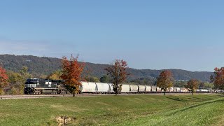 NS AC44C6M 4481 Leads Manifest 167 on 10/25/24