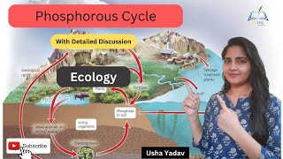 Phosphorous Cycle || #biogeochemicalcycle || #ecology || #csirnet || Usha Yadav || #bsc_3rd_year