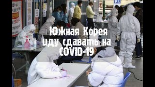 COVID-19 ЮЖНАЯ КОРЕЯ 14.03.21 , Заставили сдать анализы!