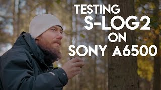 Testing S-log2 on Sony a6500