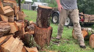 Tuatahi work Axe vs Black and White Oak.