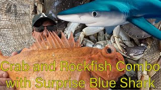 Crab & Rockfish Limits: With Surprise Blue Shark!