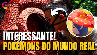 POKÉMONS DO MUNDO REAL