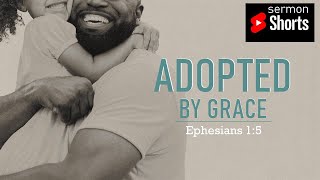 Adopted by Grace (Ephesians 1:5): YouTube Sermon Shorts