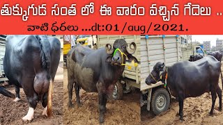 Thukkuguda buffalo market |  తుక్కుగుడ సంతలో గేదెల ధరలు