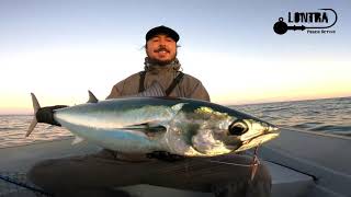 Pesca Atún Lanzón, Canal de Chacao, Abril 2023 (Corto)