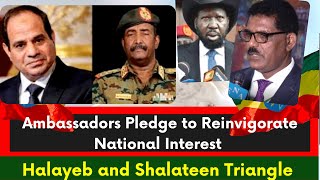 Ethiopia, Ambassadors Pledge,  Egypt and Sudan, South Sudan, South Africa, Zimbabwe, Mali, Abiy