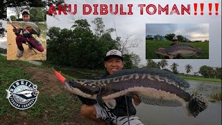 TOMAN FRENZY  CASTING TOMAN | HARUAN PORT LARANGAN ‼️‼️‼️ #Sibeii #Shimano #Daiwa #Bone #MajorCraft