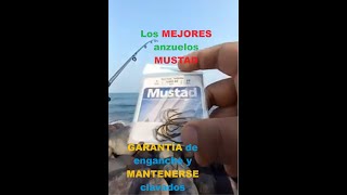 ESTOS ANZUELOS dan 🔥LAS MEJORES🔥 PESCAS🎣 DE ORILLA