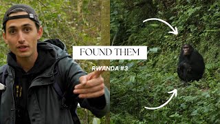 Tracking Chimpanzees - Rwanda Adventures Part 3