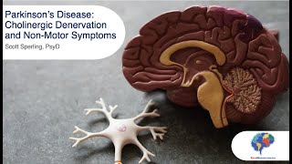 Parkinson's Disease: Cholinergic Denervation and Non-Motor Symptoms