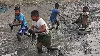 A lot of rock fish in our village canal।। fishing boats।। fishing।। fishing video। rsl fish cutting