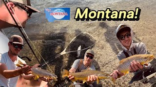 Catching Brown Trout 🐄🎣 Rock Creek Montana