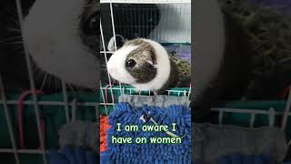 Judy is aware #funny #pets #youtubeshorts