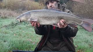 barbel fishing the river severn