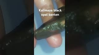 Kalimaya black opal banten #music #entong #kalimaya #kalimayaindonesia