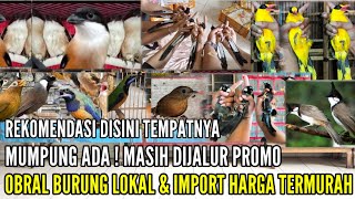 🔴 DISINI TEMPATNYA ! SPESIAL WEEKEND RATUSAN EKOR STOKNYA SEMUA DIPROMOKAN 0838-7553+6945