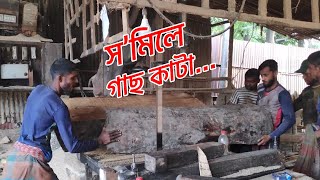 স’মিলে গাছ কাটে কীভাবে, দেখুন...