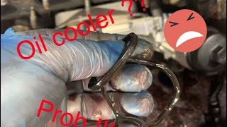 Vauxhall insignia Oil Cooler Problem 1.6/1.8