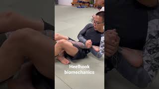 What is the heel hook attacking?heel or knee?