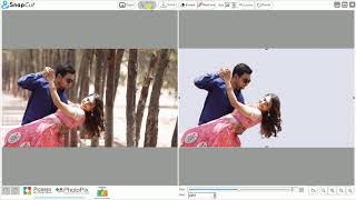 Smart Way to Quickly Mask Hair and Change Background in SnapCut Auto Photo Cutting Software