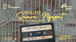 Perkutut Irama Ngepat | Suara Perkutut Irama Klasik dan Viral Dicari Saat Ini | Perkutut Lokal Lomba