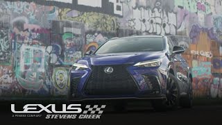 NX F Sport Options | Lexus NX