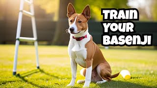 Training Your Basenji: A Comprehensive Guide