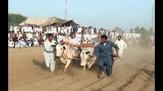 Akhara krah in pakistan.Danda da shoke